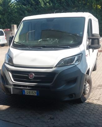 FIAT DUCATO FURGONATO tetto basso
