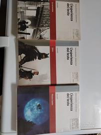 l'esperienza del testo, zanichelli