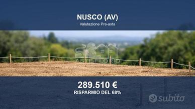Immobile in asta di 29095 m² a Nusco