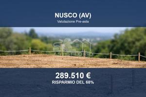 Immobile in asta di 29095 m² a Nusco