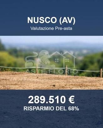 Immobile in asta di 29095 m² a Nusco