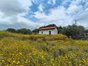 rif-vm2-terreno-agricolo-misterbianco