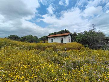 Rif.VM2| terreno agricolo misterbianco