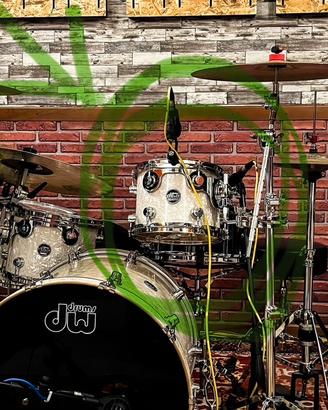 DW Performance Tom 10x8 WMP