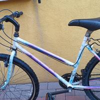 MTB donna 