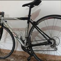 bici da corsa olmo carbonio alluminio 