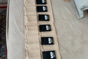 Schede cartografia nautica C-map