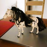 Cavallo barbie bianco punteggiato punti neri 
