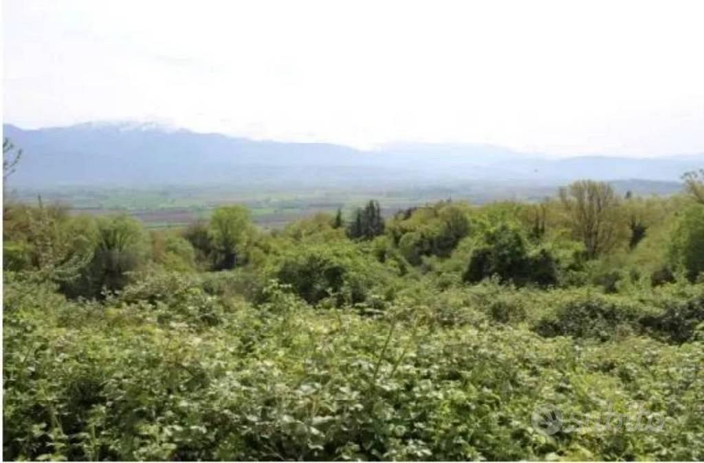 Immobile in asta di 6330 m² a Greccio - Vista 4
