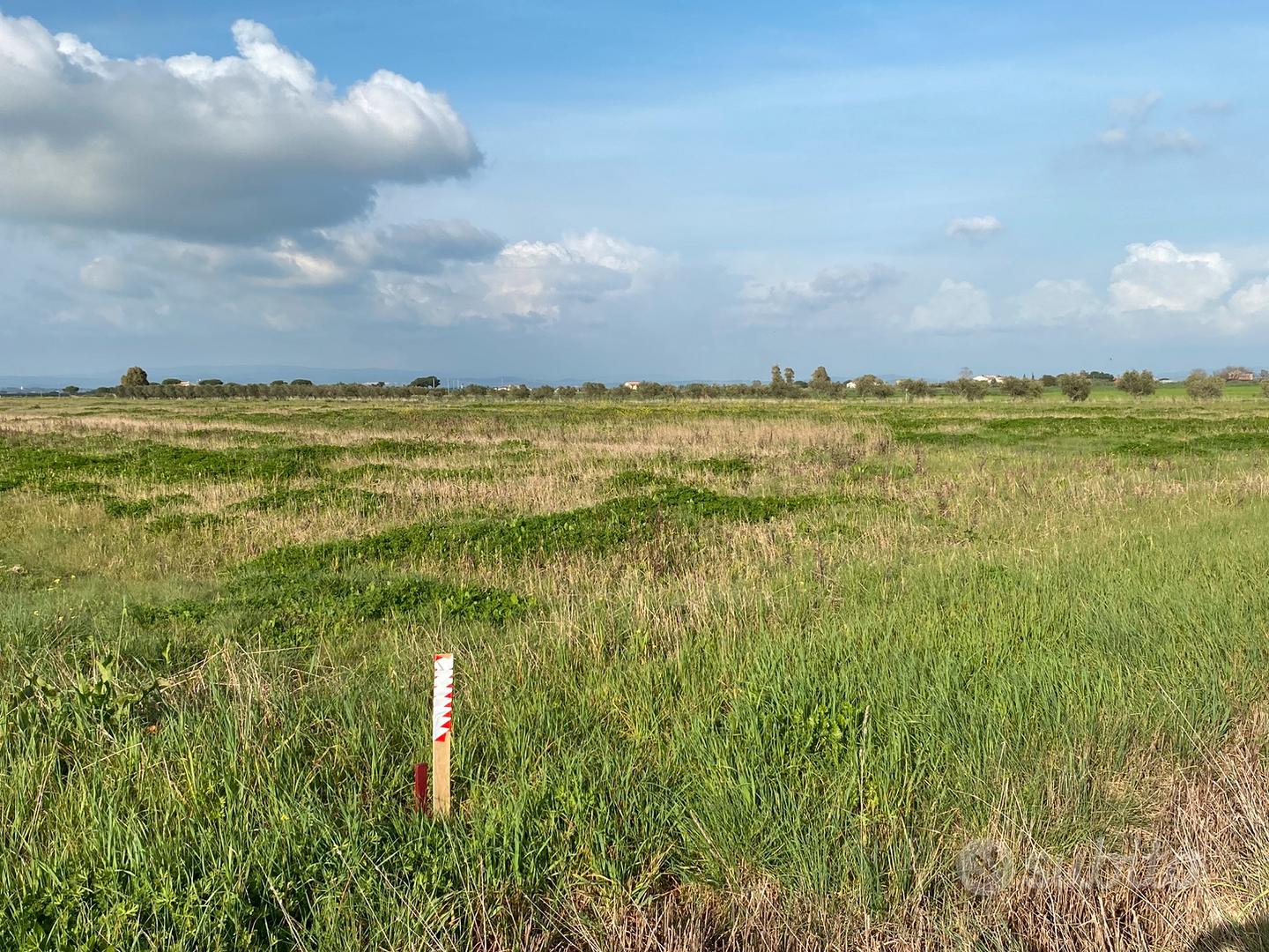 Terreno agricolo anche con ulivi vicino al mare - Vista 3