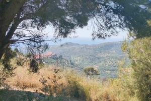 Terreno agricolo vista mare Regione Poggi s.n.c