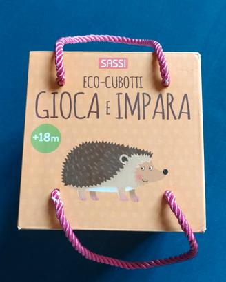 Torre di cubi e libro illustrato educativo 