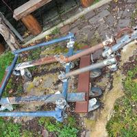 carrello per pianta limone