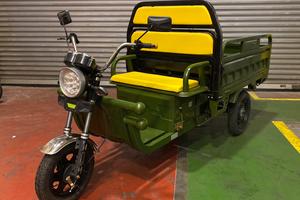 Triciclo cargo elettrico