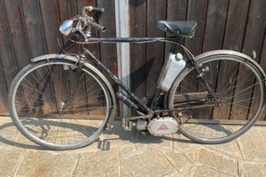 Lohmann ciclomotore  diesel 18 cm cubici