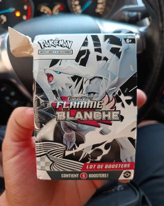 box carte Pokemon 