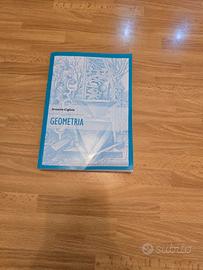 libro Geometria di Antonio Cigliola