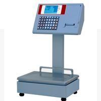 BILANCIA PROFESSIONALE