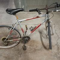 Bicicletta mountain-bike