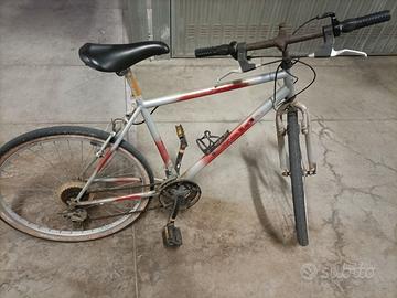 Bicicletta mountain-bike