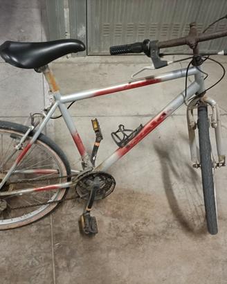 Bicicletta mountain-bike