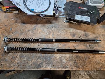 Cartucce  Andreani ktm