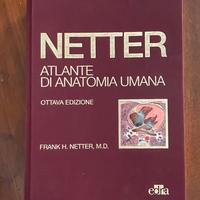 Netter ottava edizione