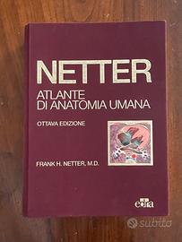 Netter ottava edizione