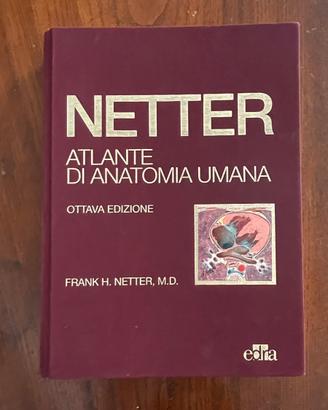 Netter ottava edizione