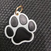 Ciondolo Targa NFC per collare