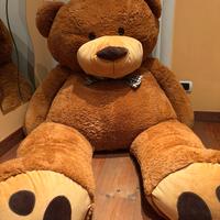 Orso di peluche