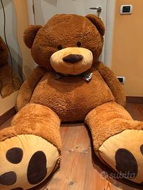 Orso di peluche