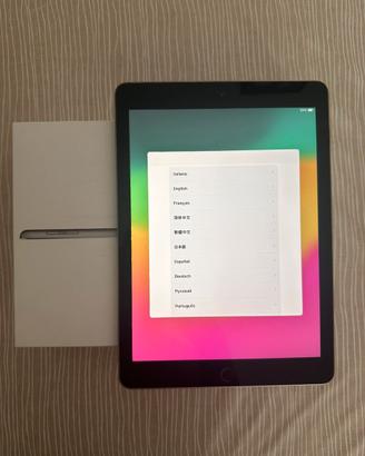 iPad 6 - 6th Gen
