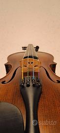 Stentor Verona Violin 4/4 (2024)