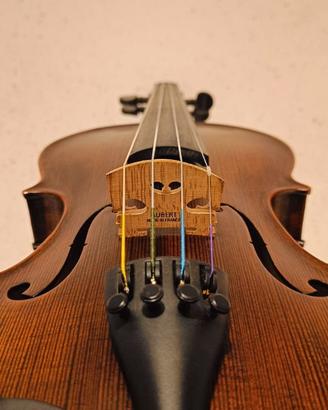 Stentor Verona Violin 4/4 (2024)