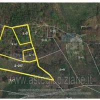 Terreno Agricolo Pennadomo [A4331193]