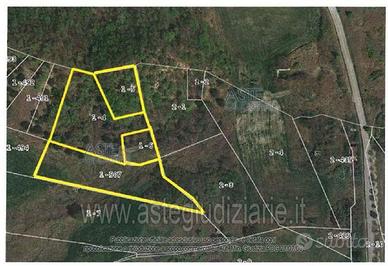 Terreno Agricolo Pennadomo [A4331193]
