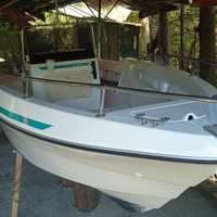 Barca Euro marine 6m