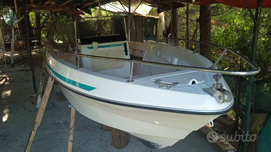 Barca Euro marine 6m