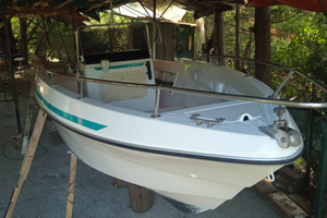 Barca Euro marine 6m