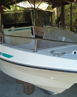 Barca Euro marine 6m