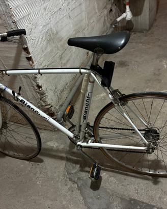 Bici bianchi