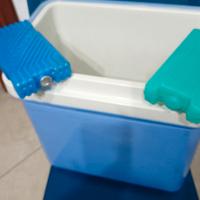 frigo termico portatile 