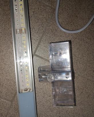 lampada marino