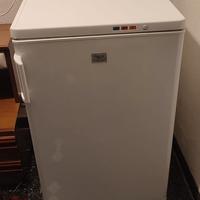 Congelatore a cassetti Rex Electrolux 