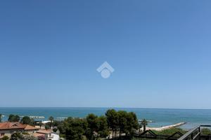 3 LOCALI A ALBA ADRIATICA