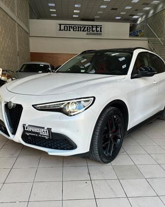 Alfa Romeo Stelvio 2.2 Turbodiesel 190 CV AT8 RWD 