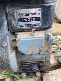 Motore usato Intermotor 250