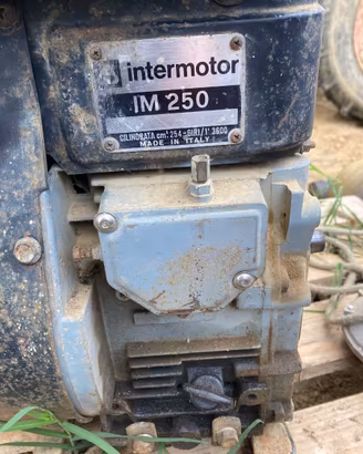 Motore usato Intermotor 250