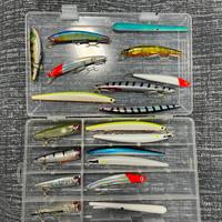 Esche spinning  mare